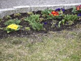 26-03-2019_DSC0235