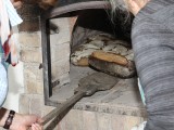 yIMG_5984