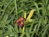 07-07-2018_thumb_a92d