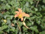 07-07-2018_thumb_a92f
