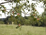 11-07-2018_thumb_a9a9