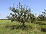 16-08-2018_DSC0110