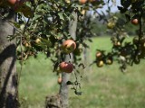 16-08-2018_DSC0113