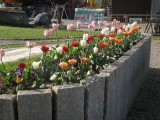 29-04-18_DSC0389