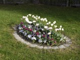 29-04-18_DSC0393