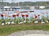29-04-18_DSC0394