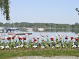 29-04-18_DSC0395