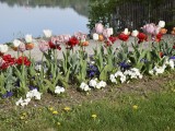 29-04-18_DSC0396