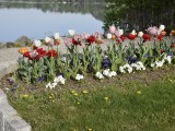 29-04-18_DSC0397
