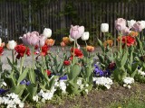 29-04-18_DSC0399