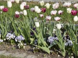 29-04-18_DSC0400