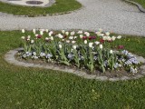 29-04-18_DSC0401
